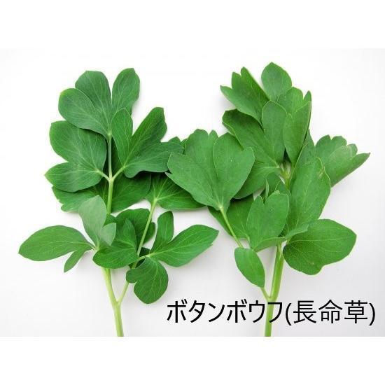 漏れに贅沢プレミアム 3袋（1袋60粒 30日分）カボチャ種子 ボタンボウフウ