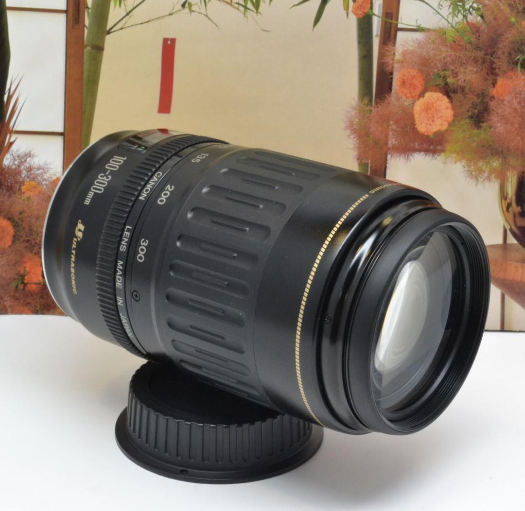 キヤノン望遠レンズ Canon EF100- 300mm望遠はここから! | ebs-santana.pt