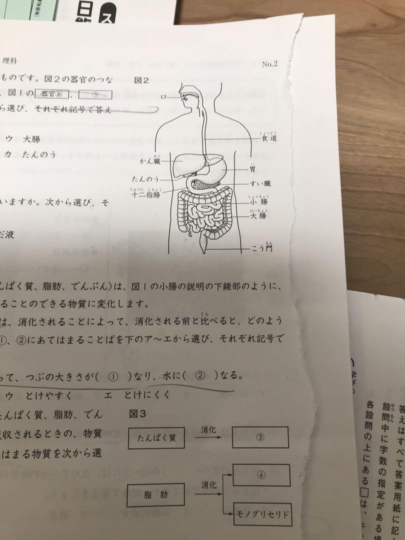 春期夏期冬期テスト 思考力育成テスト