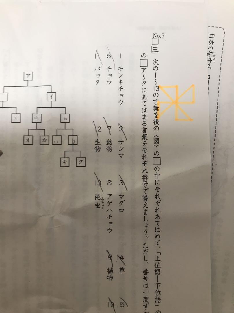 日能研学習力育成テスト5年202319回分 春期夏期冬期テスト