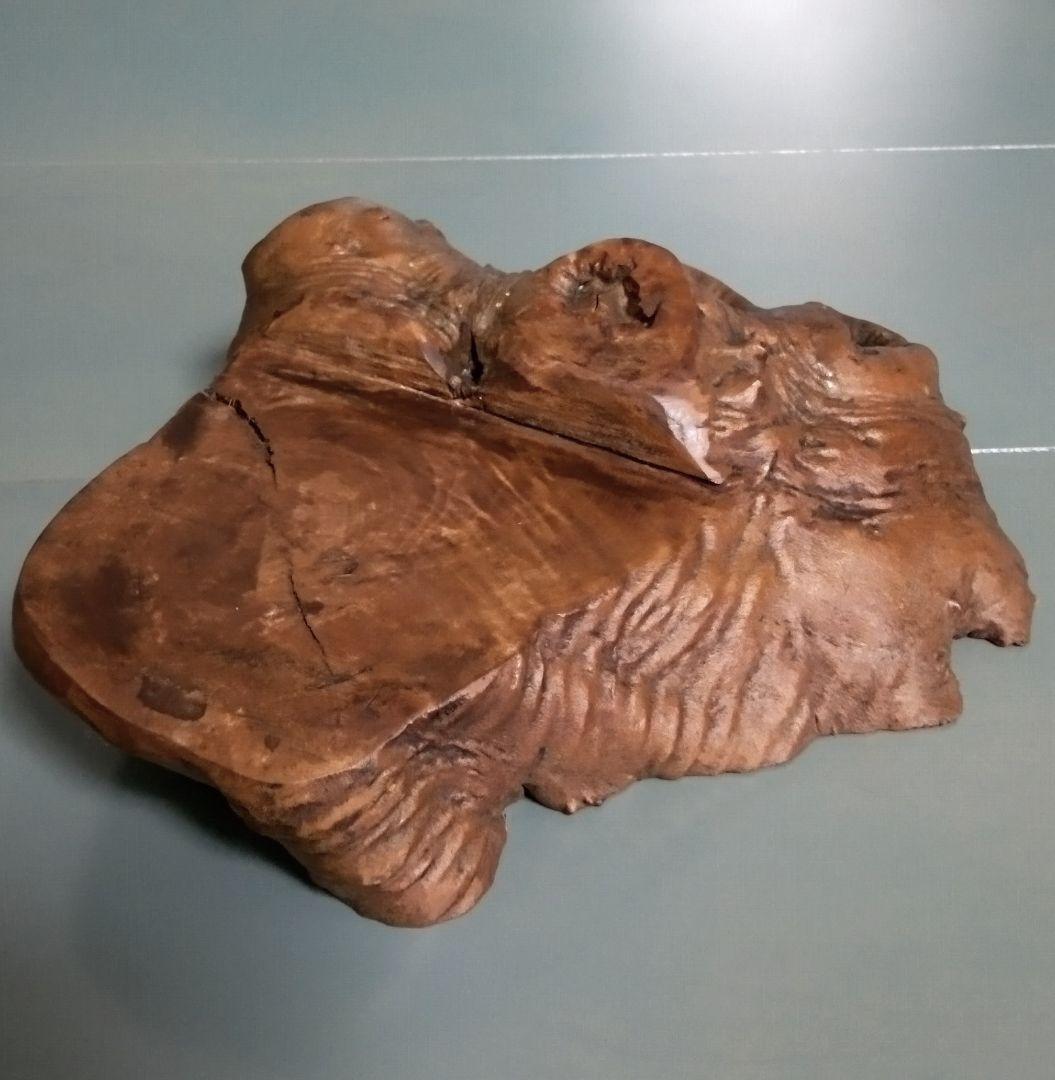 楡瘤 花台材］73：巾600mm×50mm×450mm 商品詳細｜熊本県