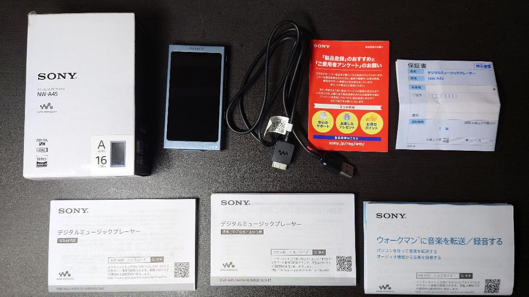 在庫大人気 ソニー ウォークマン NW-A45 SDカード128GB付 etfdp-m60980873324 低価高品質