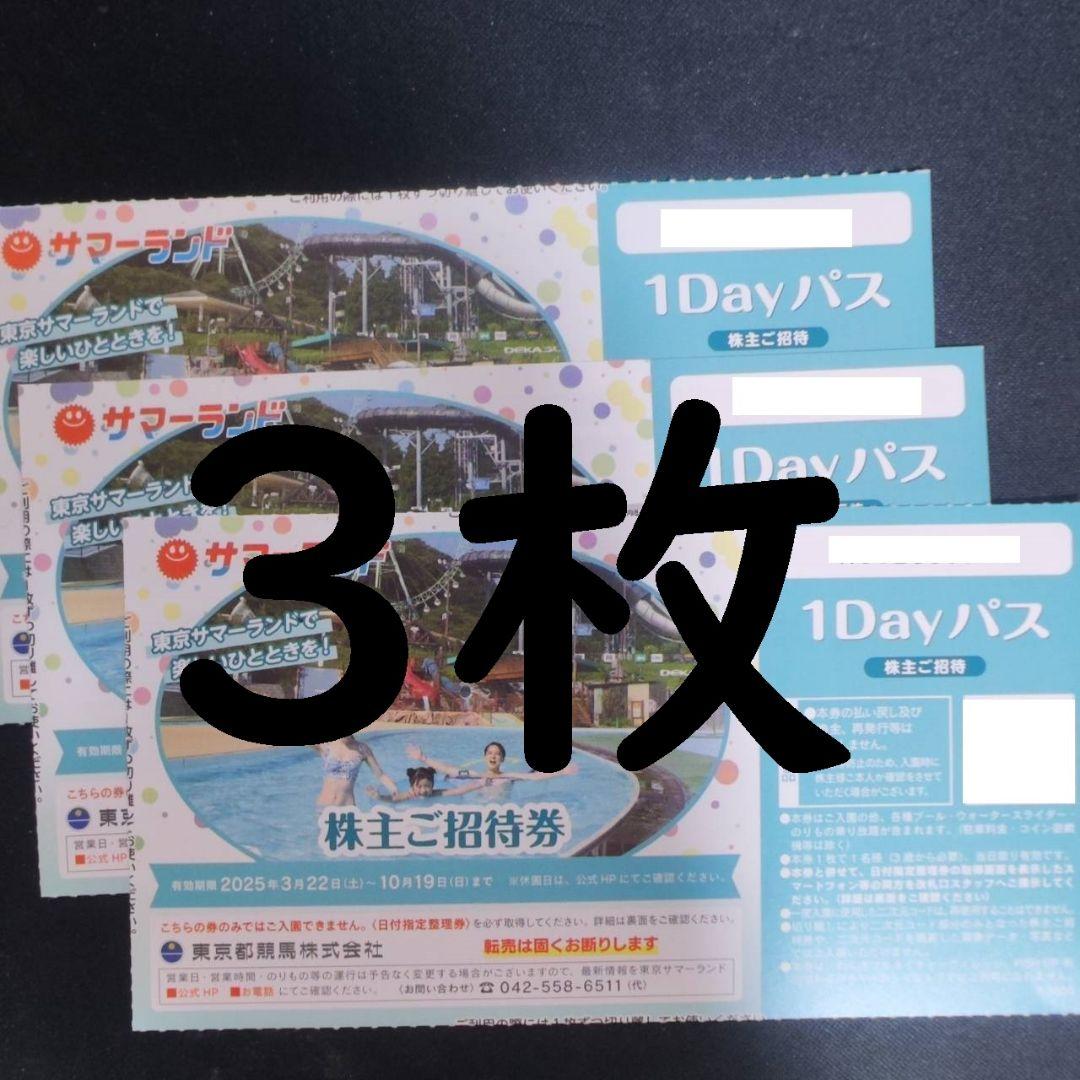 夏季利用可　サマーランド　１デイパス　株主ご招待券　3枚