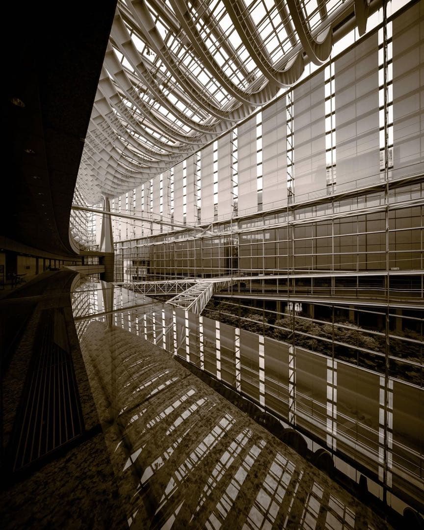 【美品 】Laowa 9mm F5.6 W-Dreamerニコン【Zマウント】