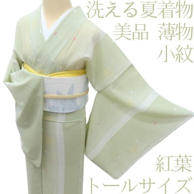 Y2756◆美品 洗える夏着物 薄物 紅葉 トールサイズ 小紋 着物