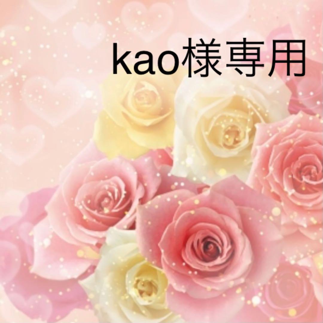 kao様の専用になります】あずま袋 - www.bvh.edu.gt