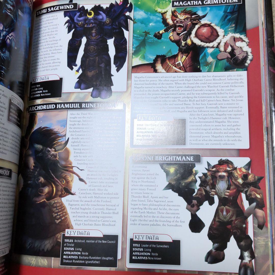 ULTIMAYE VISUAL GUIDE★WORLD OF WARCRAFT