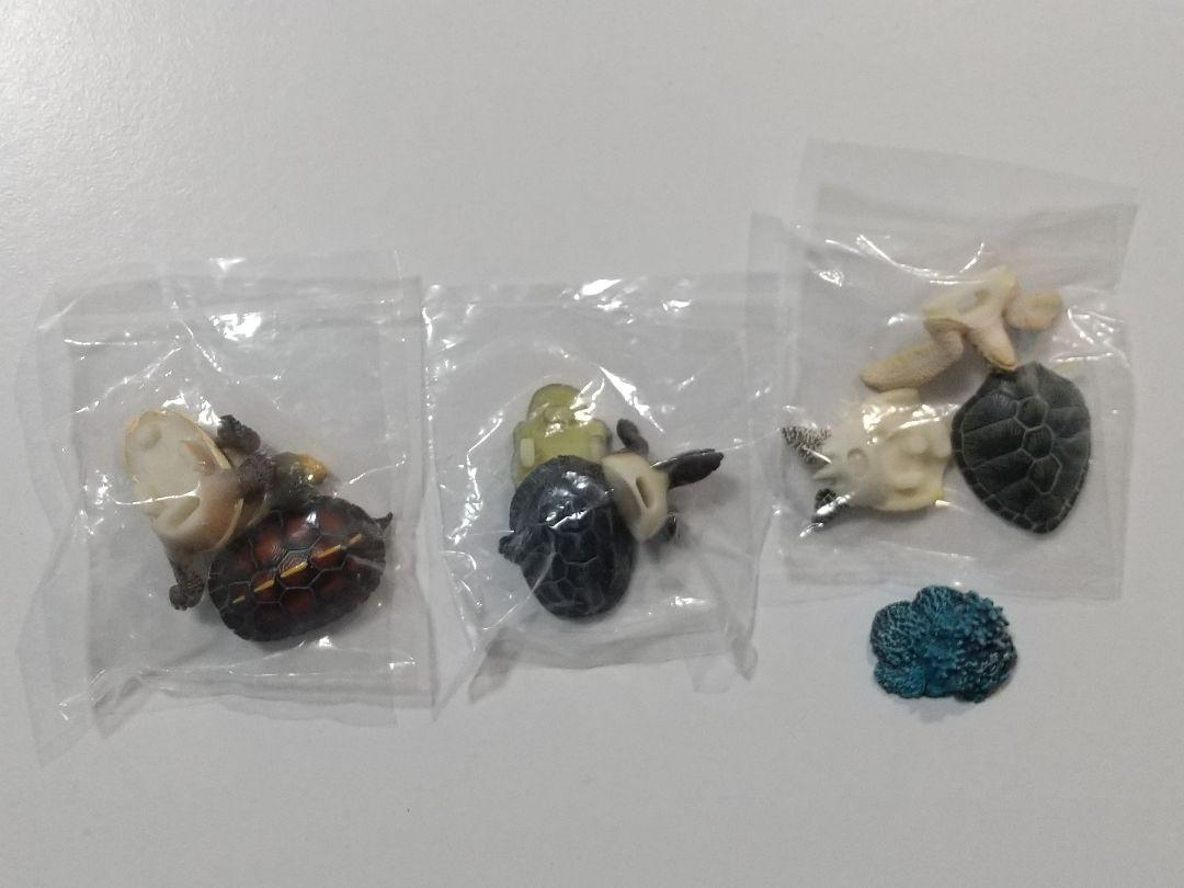 原色爬虫類カメ目図鑑［新改訂版］　シークレット3種含む18種フルセット