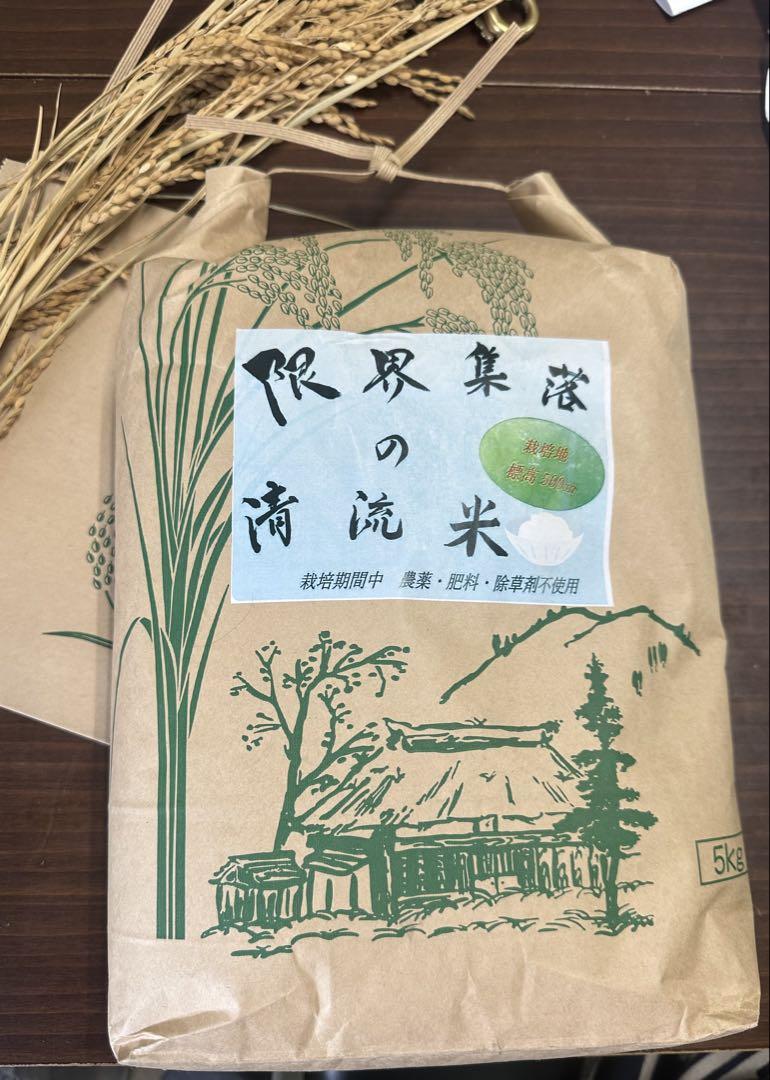 abundance313様用9kg➕5Kg 精米済み