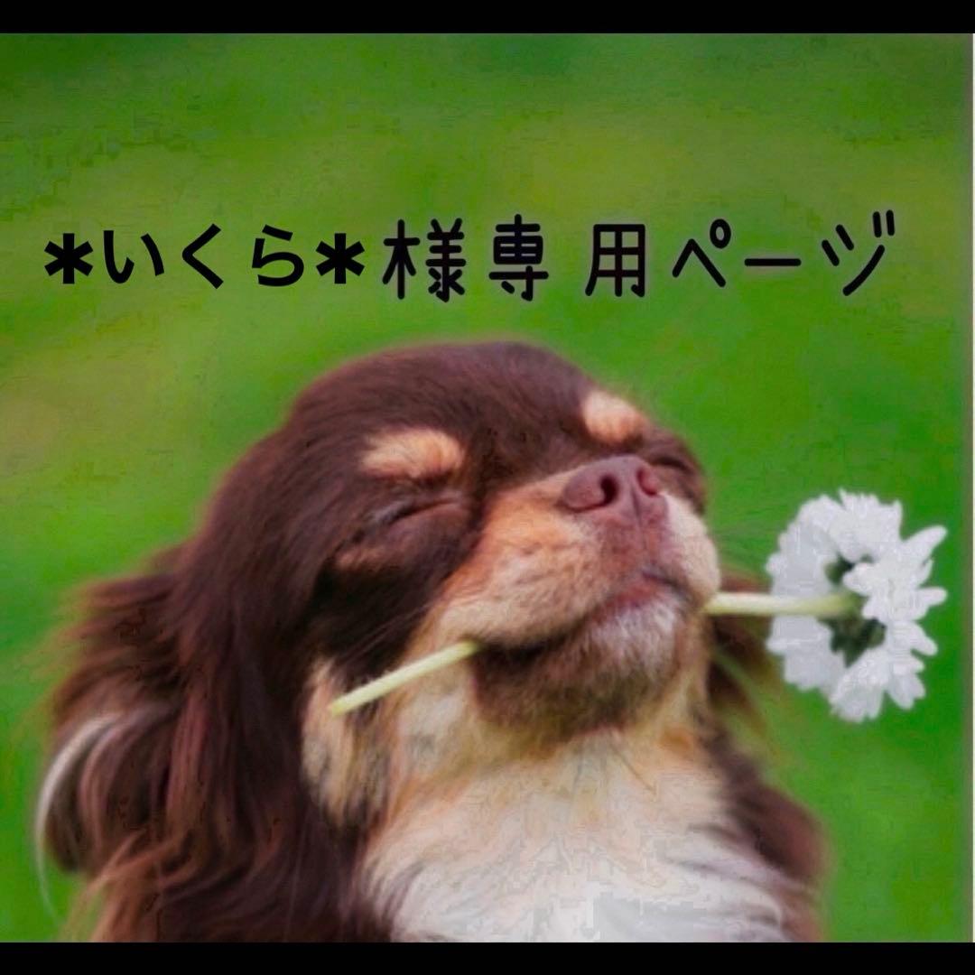 ハンバーガーコーデ①ワンダーフロッグ アゴが外れるような大きさのファーストキッチンのハンバーガー「FK