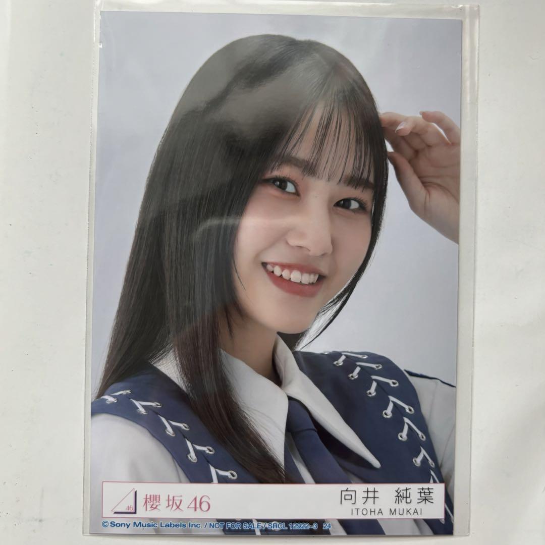 櫻坂46 向井純葉 自業自得 ライブ会場撮りおろし プレミアム生写真