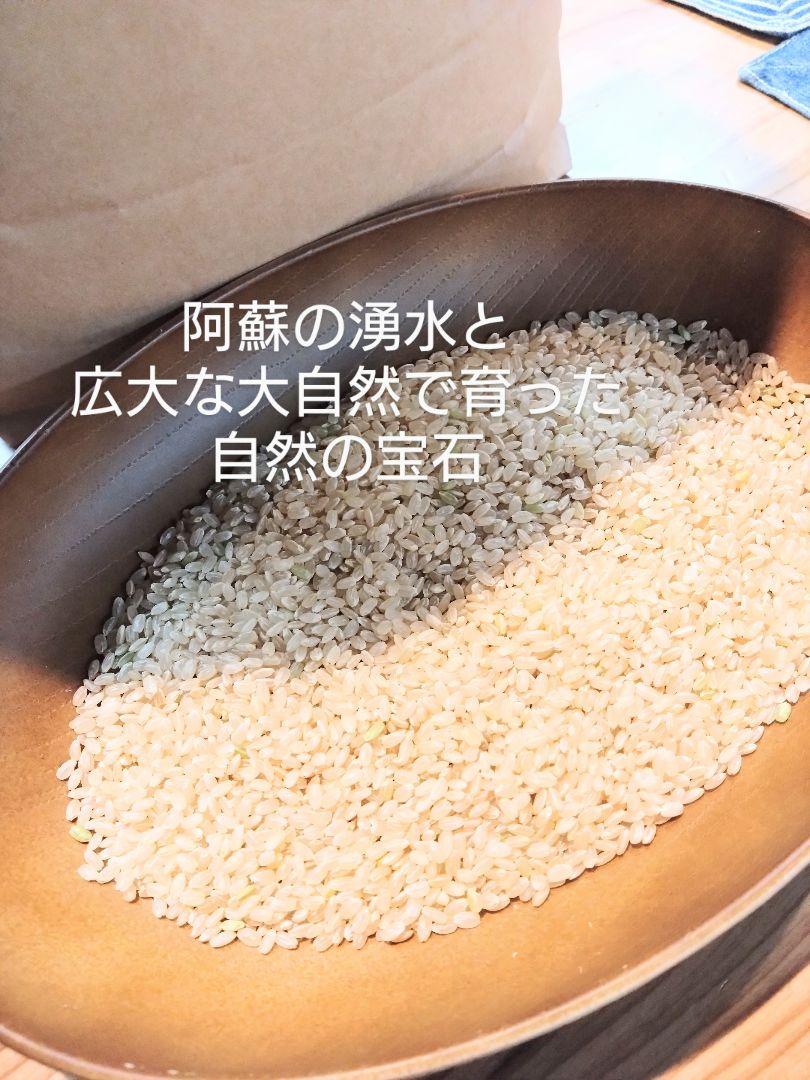 R6年新米 朝日米5kg、ヒノヒカリ5kg 食べ比べ10kg玄米 自然栽培米