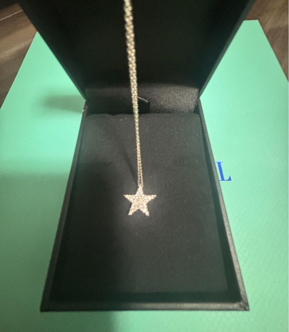 LKサロン lksalon 星小 ネックレス WG