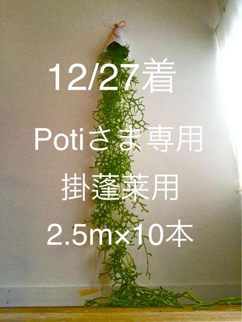 12/27着 Poti さま専用 掛蓬莱用1セット
