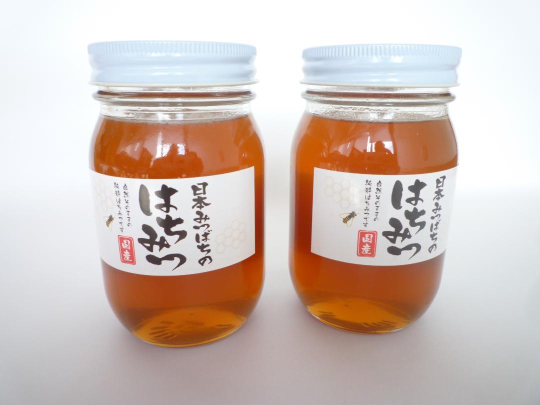 安心の日本みつばち 芳醇糖度80・81％優良品 非加熱 春はちみつ