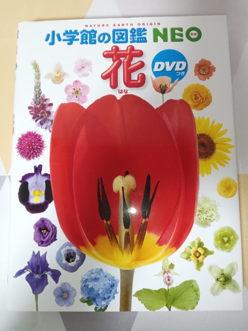 小学館の図鑑NEO 全8巻