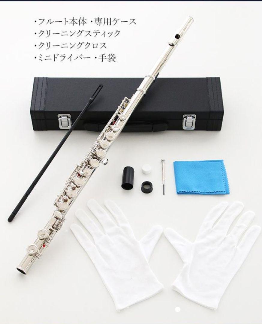 新品 未使用 送料無料 フルート 白銅製 初心者向け 学生 練習用 入門セット - メルカリ 新品 未使用 送料無料 フルート 白銅製 初心者向け 学生 練習用 入門セット - メルカリ
