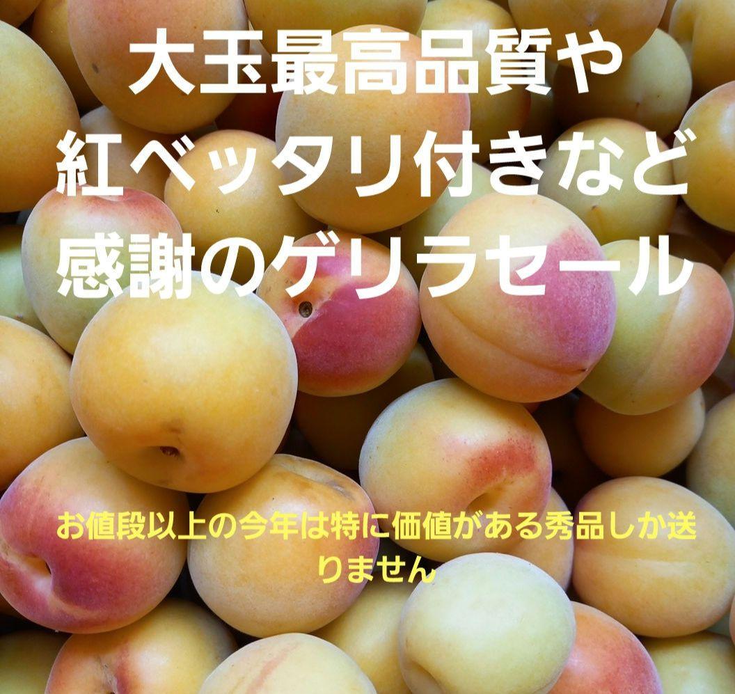 和歌山県産完熟南高梅 最高品質 3kg