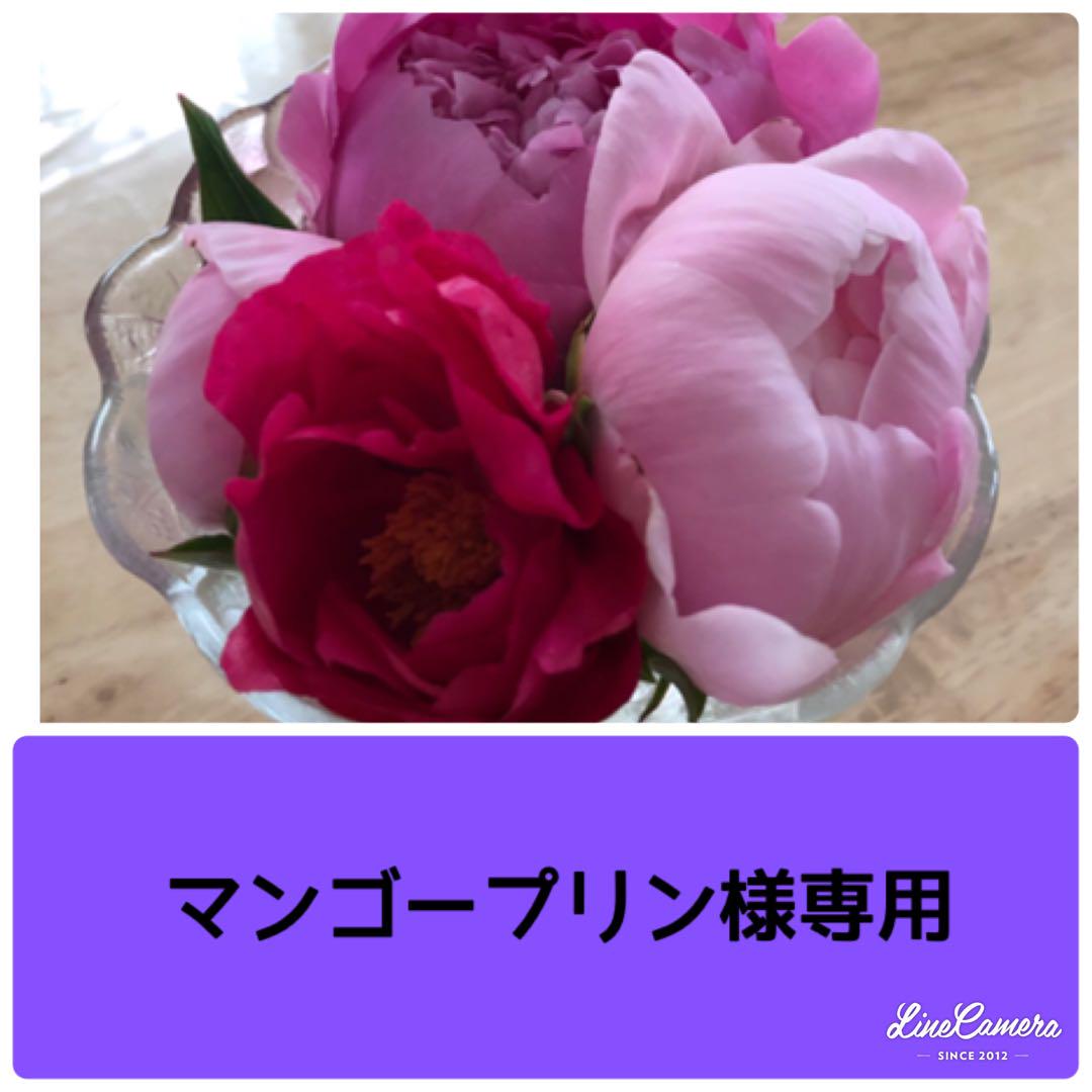 マンゴープリン様　専用　芍薬 5,040円