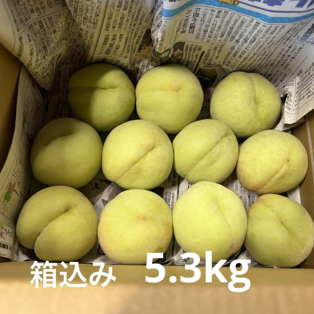 ⑯若桃 箱込み 5.3kg