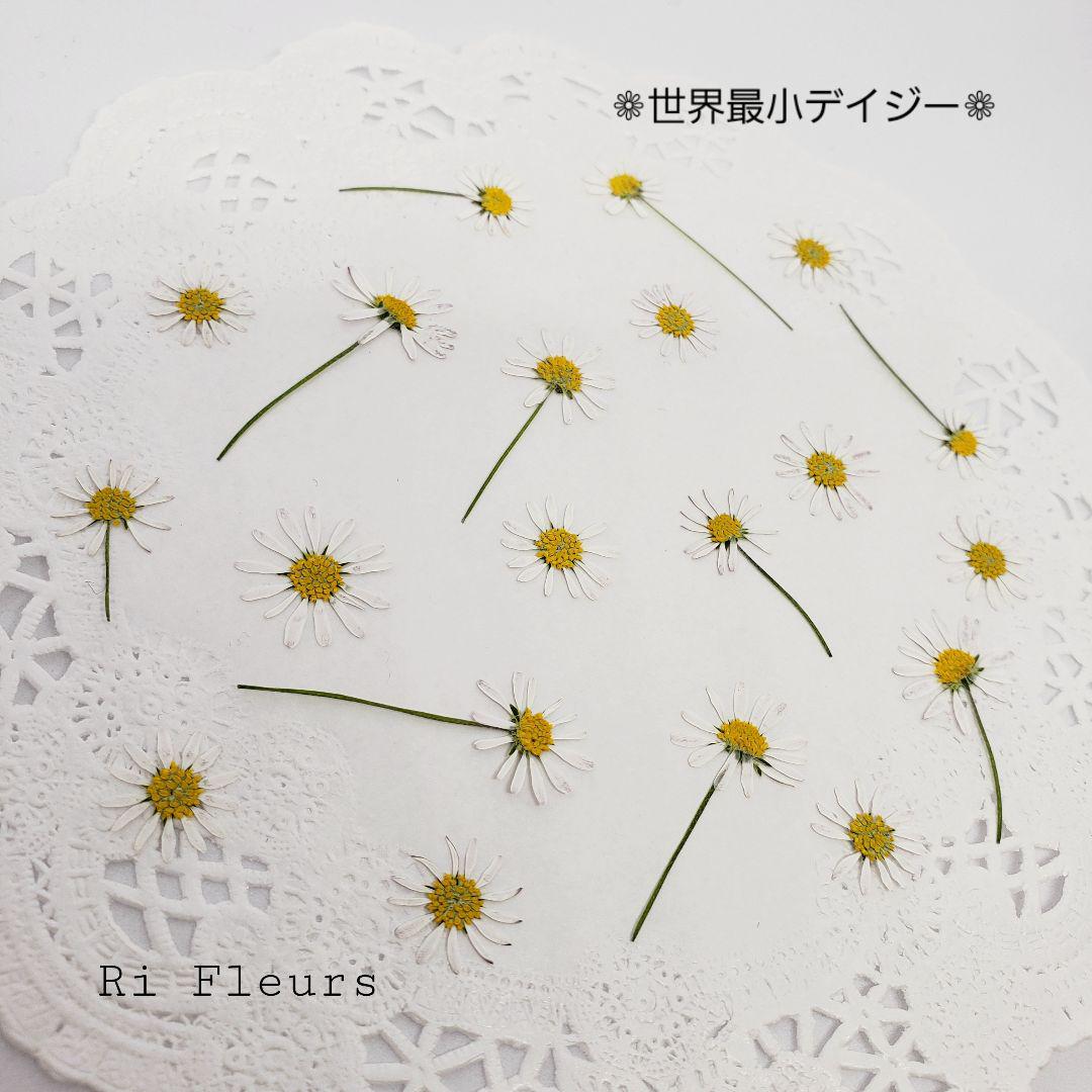 激レア１点物　奥井楓　オリジナルサイン入りチェキ　セット 激レア1点物 奥井楓 オリジナルサイン入りチェキ セット