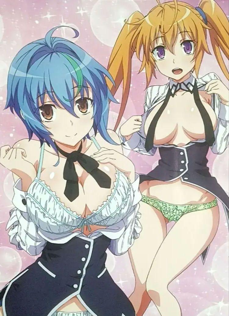 ⑨ハイスクールD×D　メガミマガジン特典特大ポスター　　切り抜き　お纏めセット