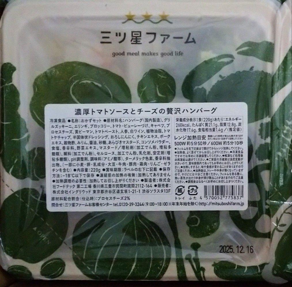 【専用】三ツ星ファーム 12食 冷凍宅配弁当 宅食 惣菜 和食 洋食 中華料理