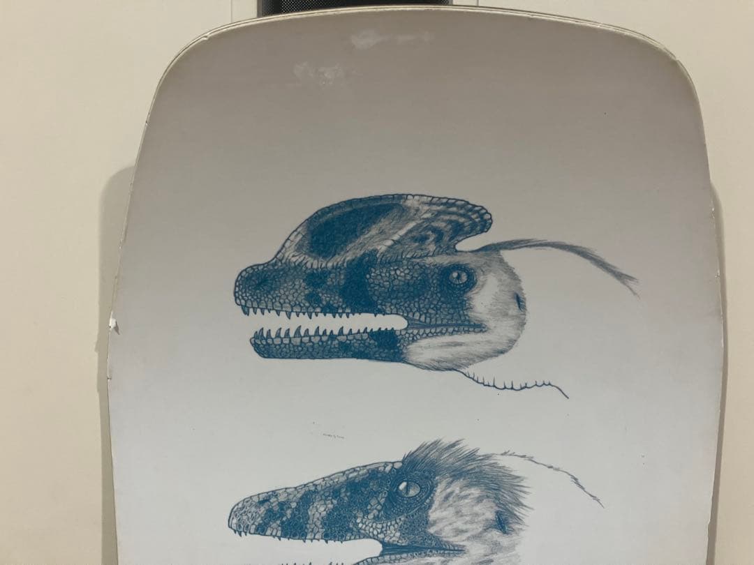 YONEX 4XP スノーボード 151センチ 22-23モデル150cm-155cm未満・YONEX MERCADOAVALIA_COM_BR