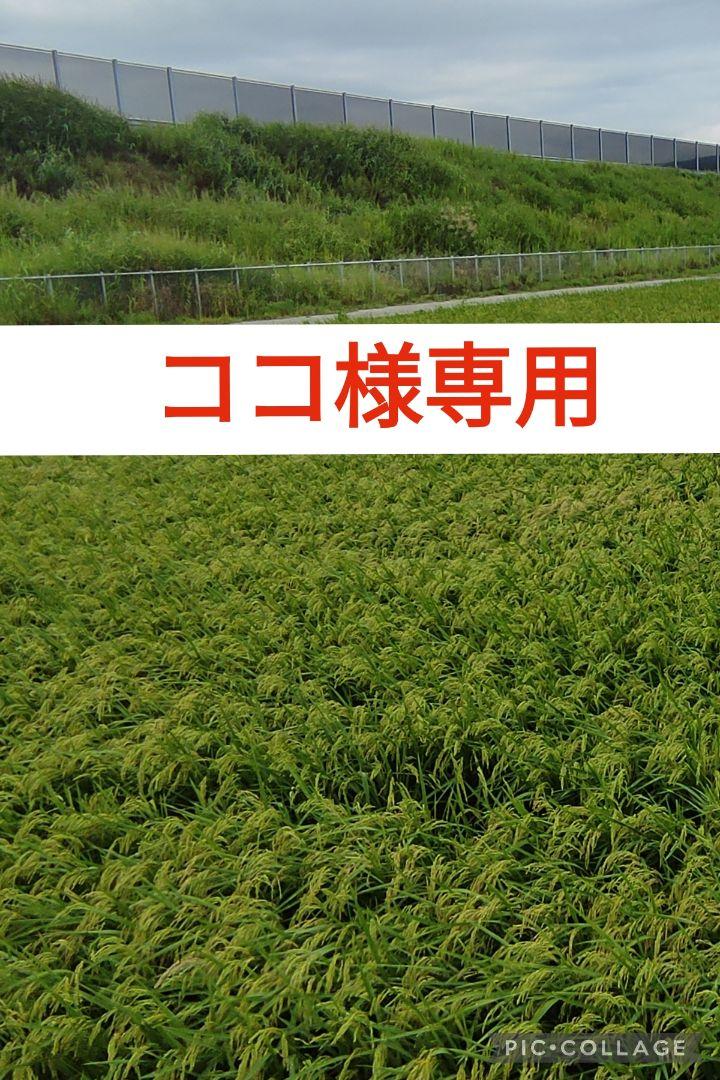 ココ様専用