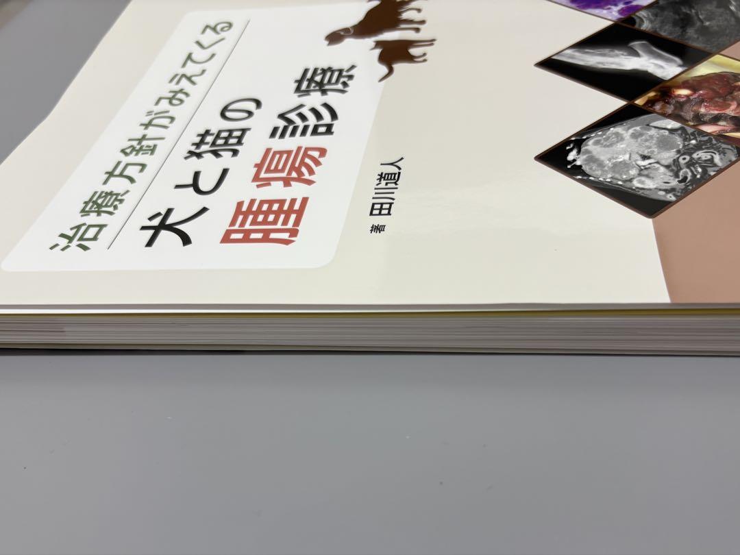 治療方針がみえてくる犬と猫の腫瘍診療　裁断済 71ejUIf4JqL.jpg