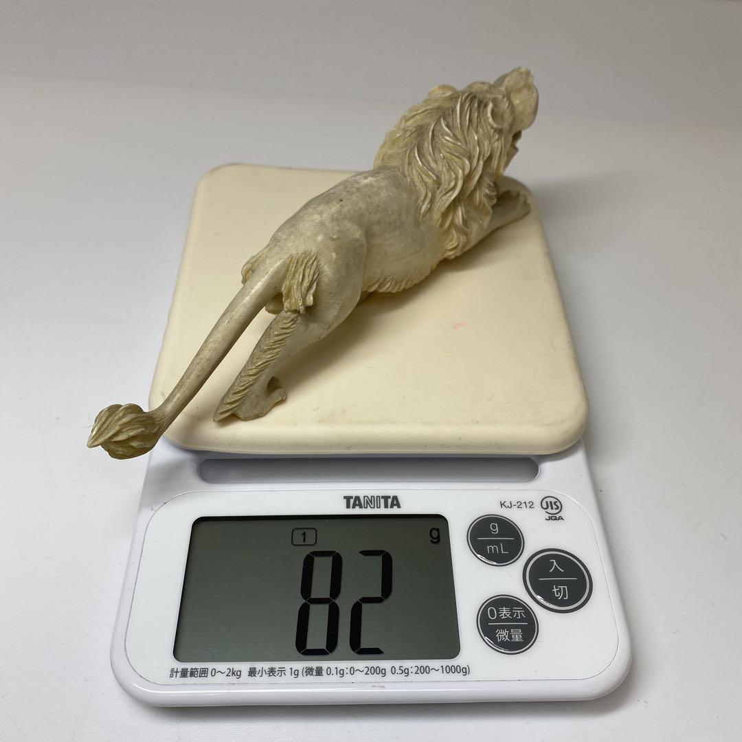 極上　ライオン　171g タエチ 東さ6-1208①