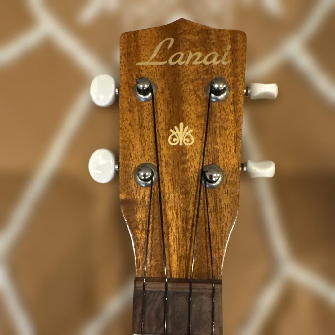 絶対お買い得！ Lanai ラナイ ソプラノウクレレ本体 UK-310 ケース含まず目立った傷や汚れなし