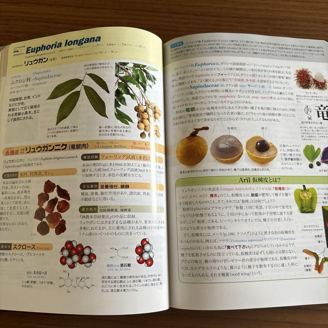のサムネイル