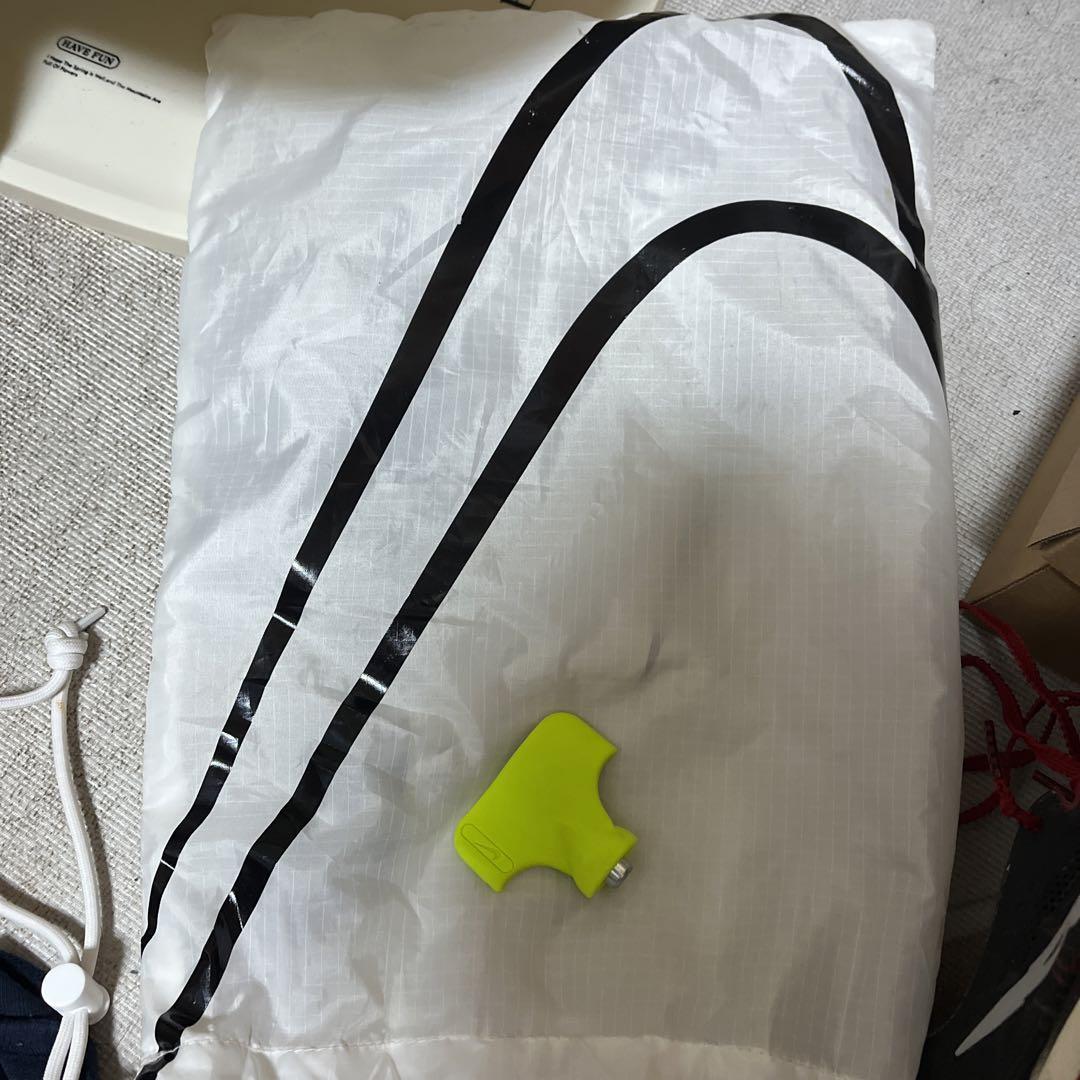 NIKEドラゴンフライ27.5cm