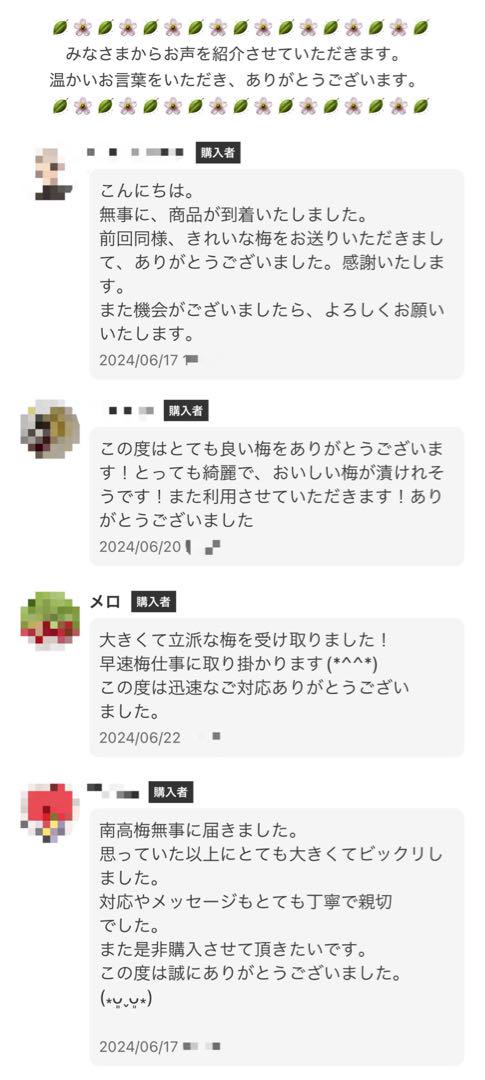 和歌山県みなべ町 南高梅 当日収穫分4Ｌサイズ3kg
