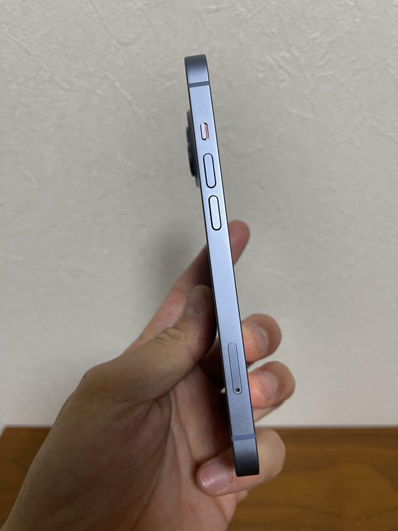 本体