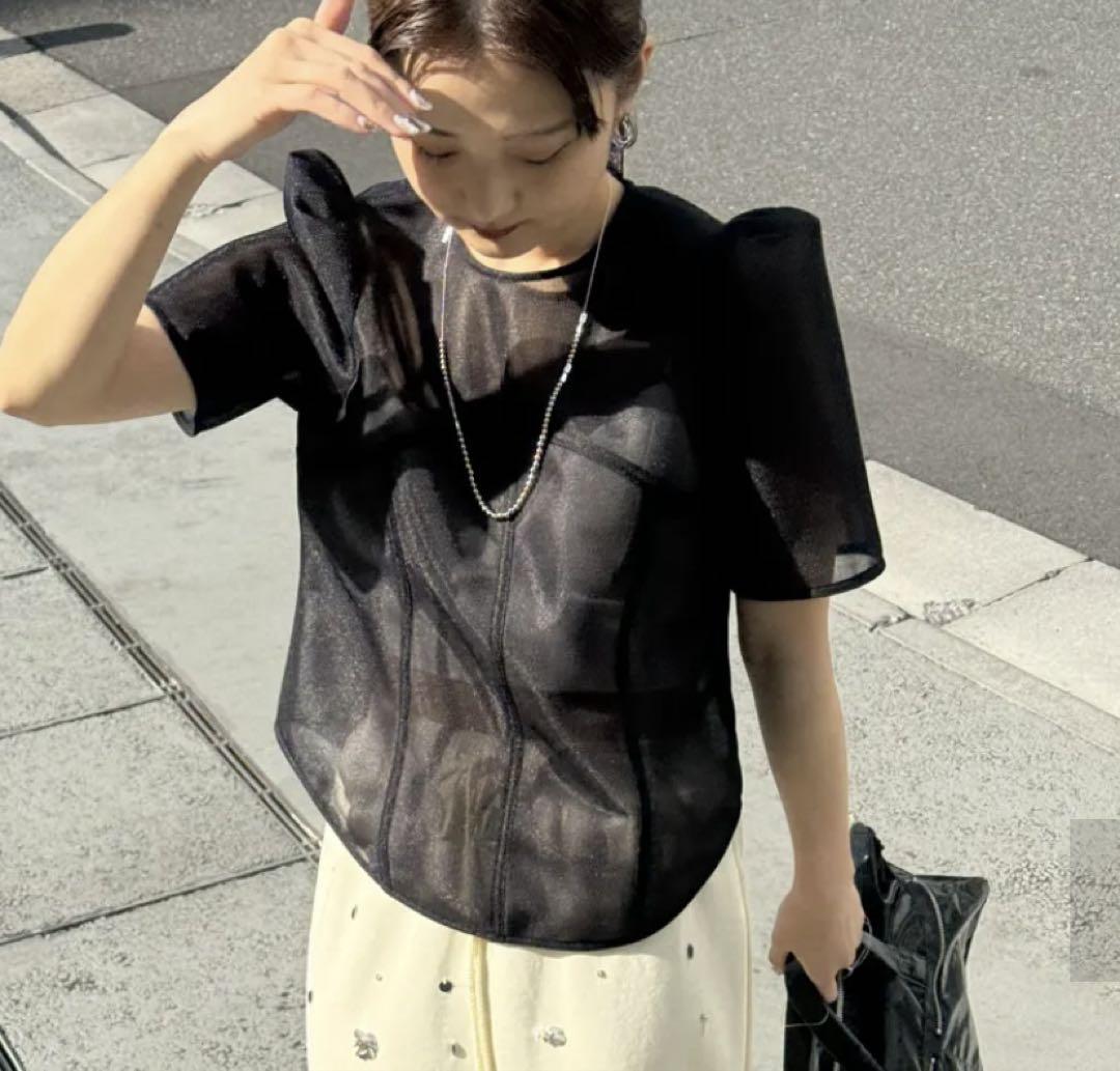 【新品未使用】SHEER CARDBOARD PUFF SHOULDER TOP SHEER CARDBOARD PUFF SHOULDER TOP - メルカリ