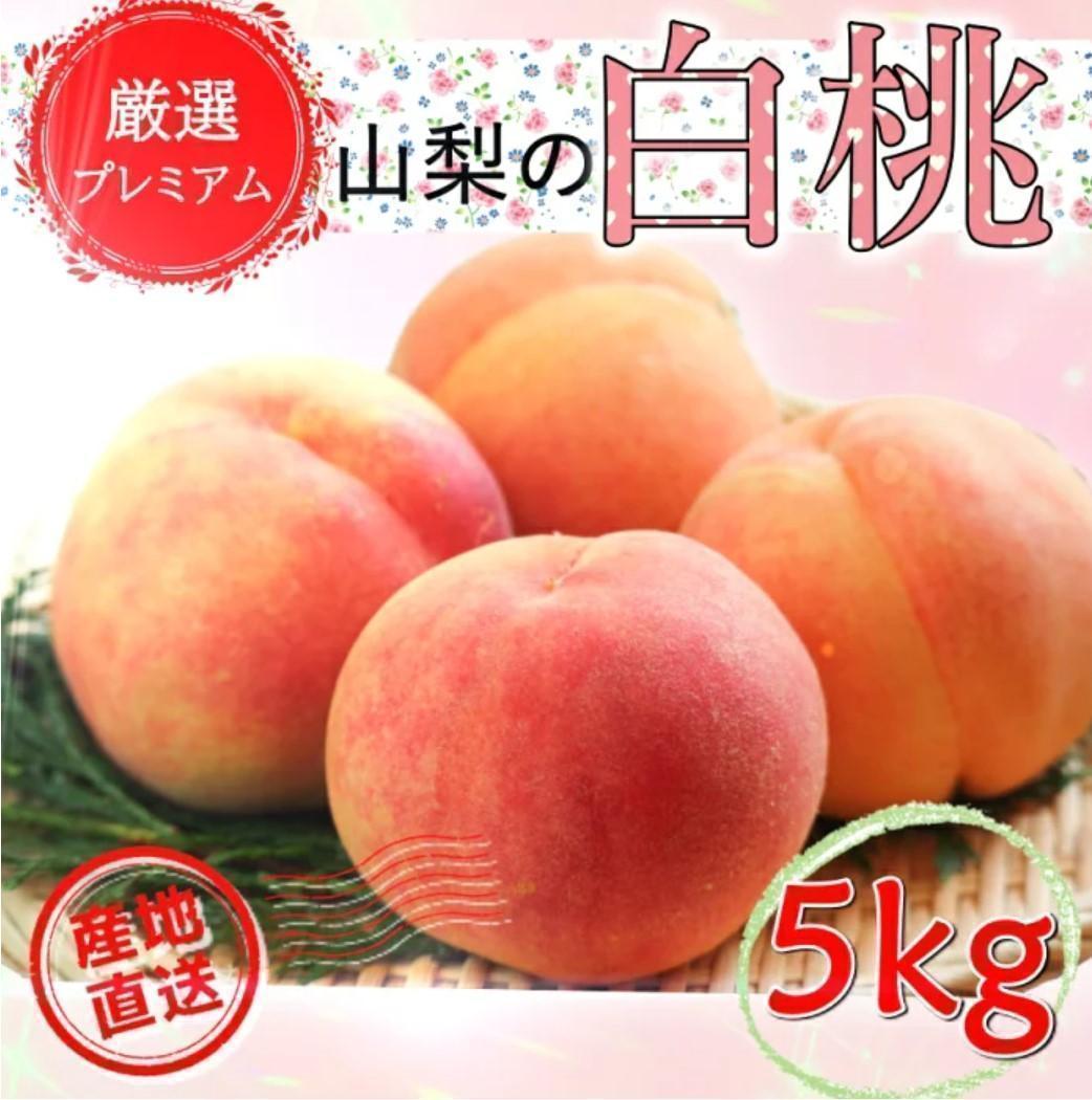 Todii様専用　クール便 秀品　山梨県　桃 5キロ　14～16玉　5kg
