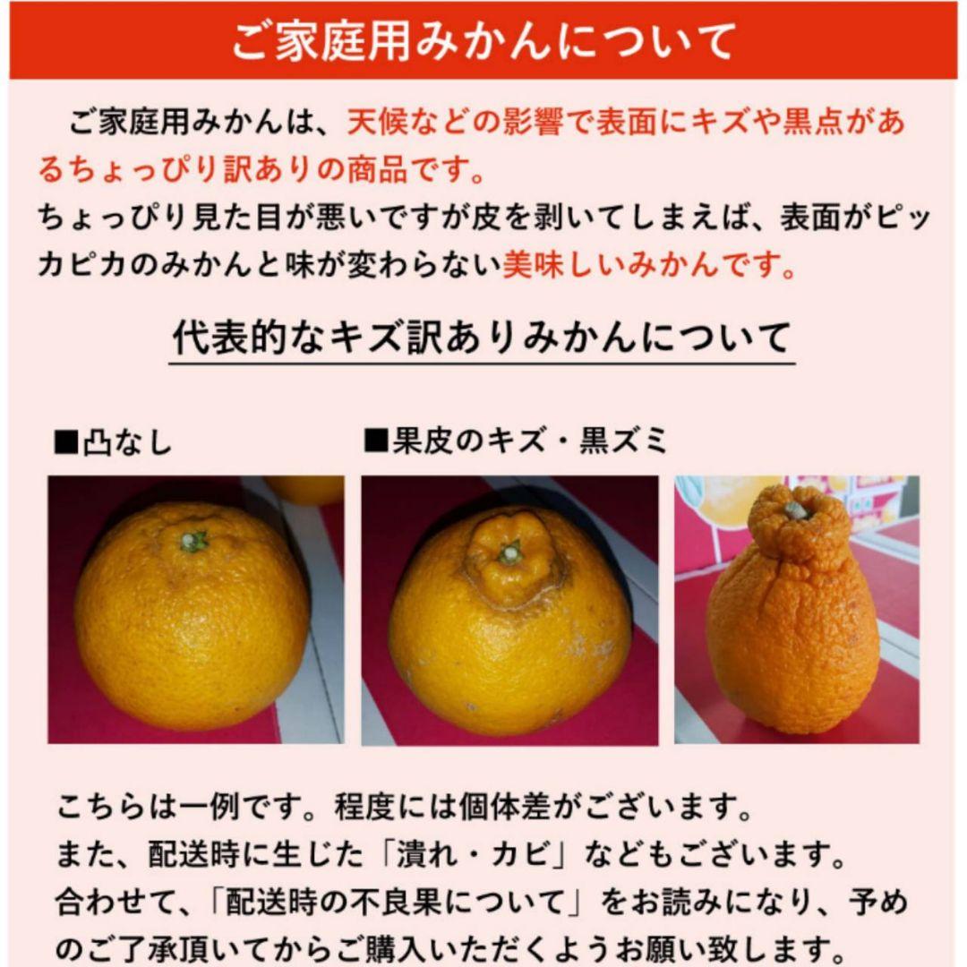 １【メルカリ最安】訳ありデコポン 20kg 不知火 みかん 10kgよりお得