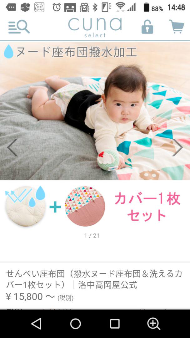 【撥水加工】洛中高岡屋せんべい座布団(cuna select)