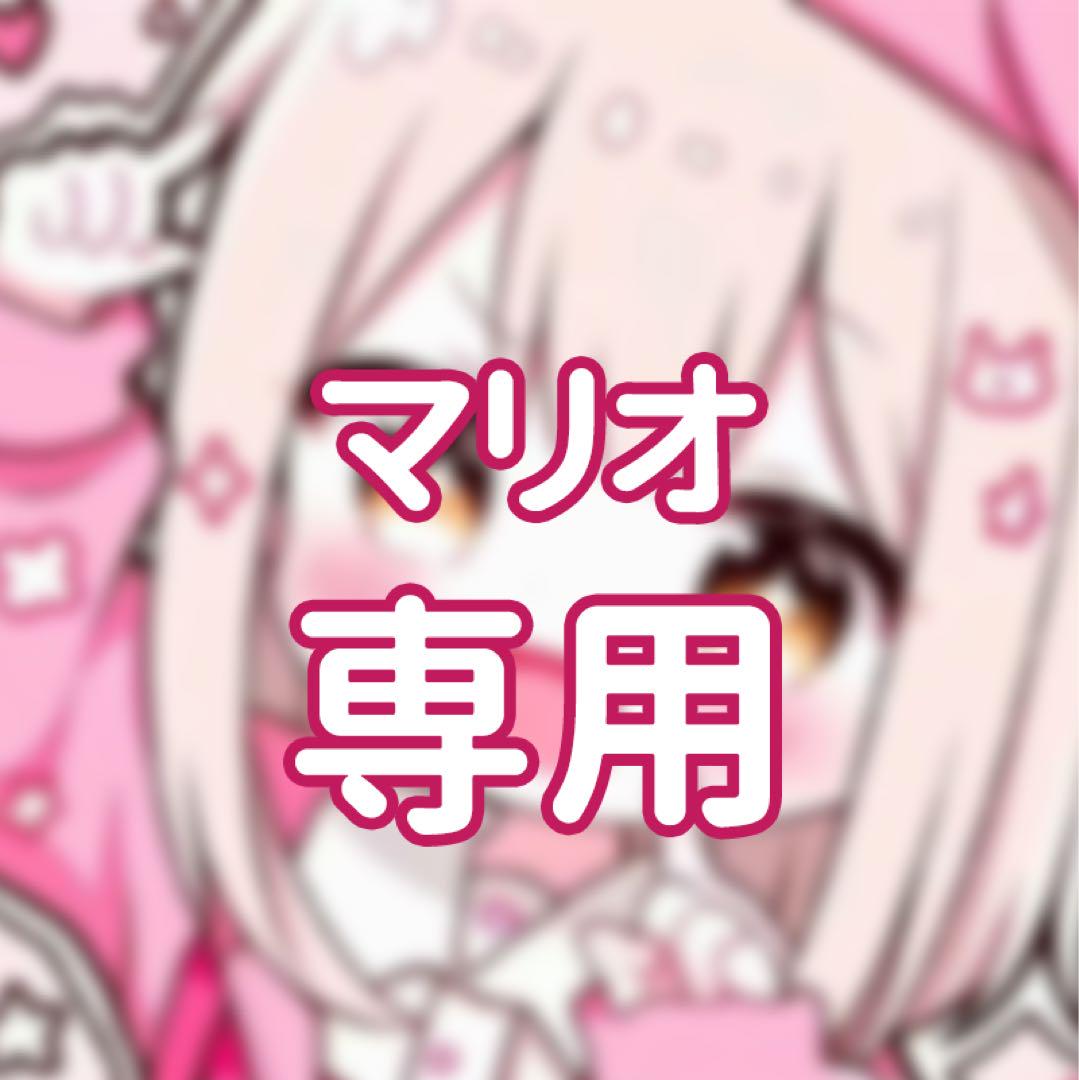 マリオ専用