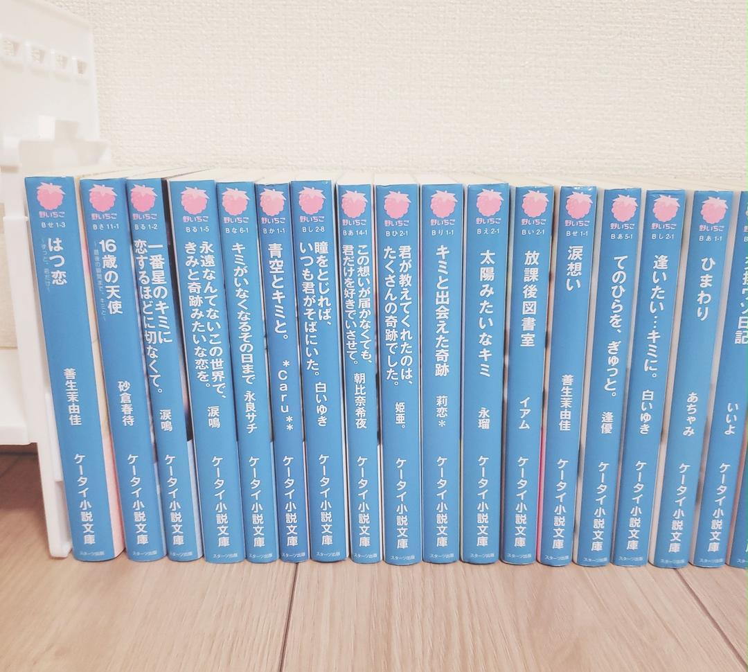 春バーゲン 野いちご 他 小説セット クリアランスセール