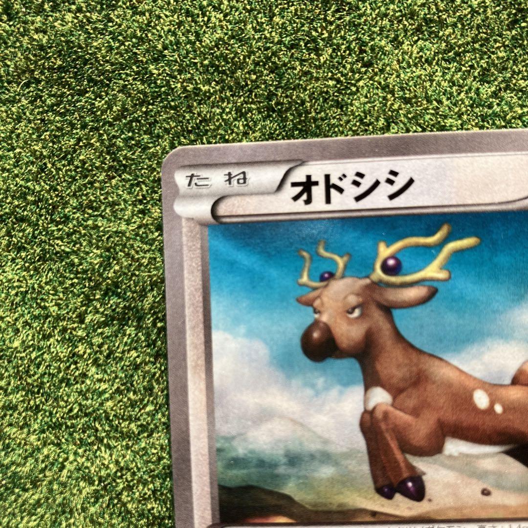 オドシシ | ポケモンカードゲーム公式ホームページ