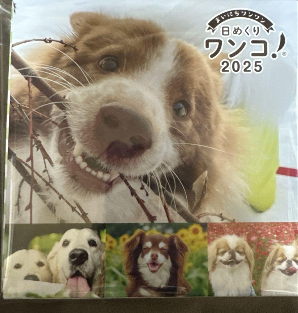 日めくりワンコ！2025