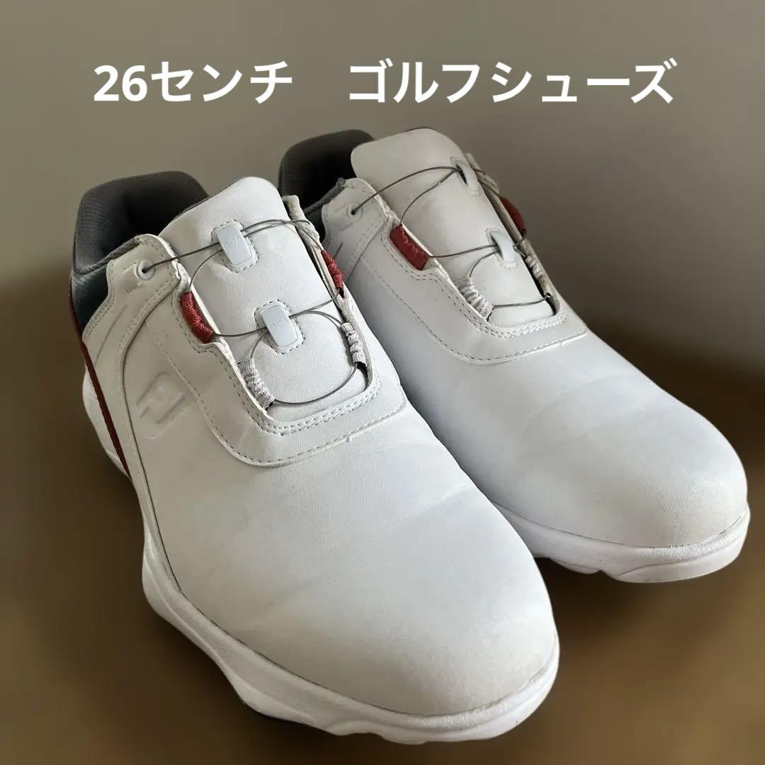 男性向け　フットジョイ　ハイドロライト　ゴルフシューズ