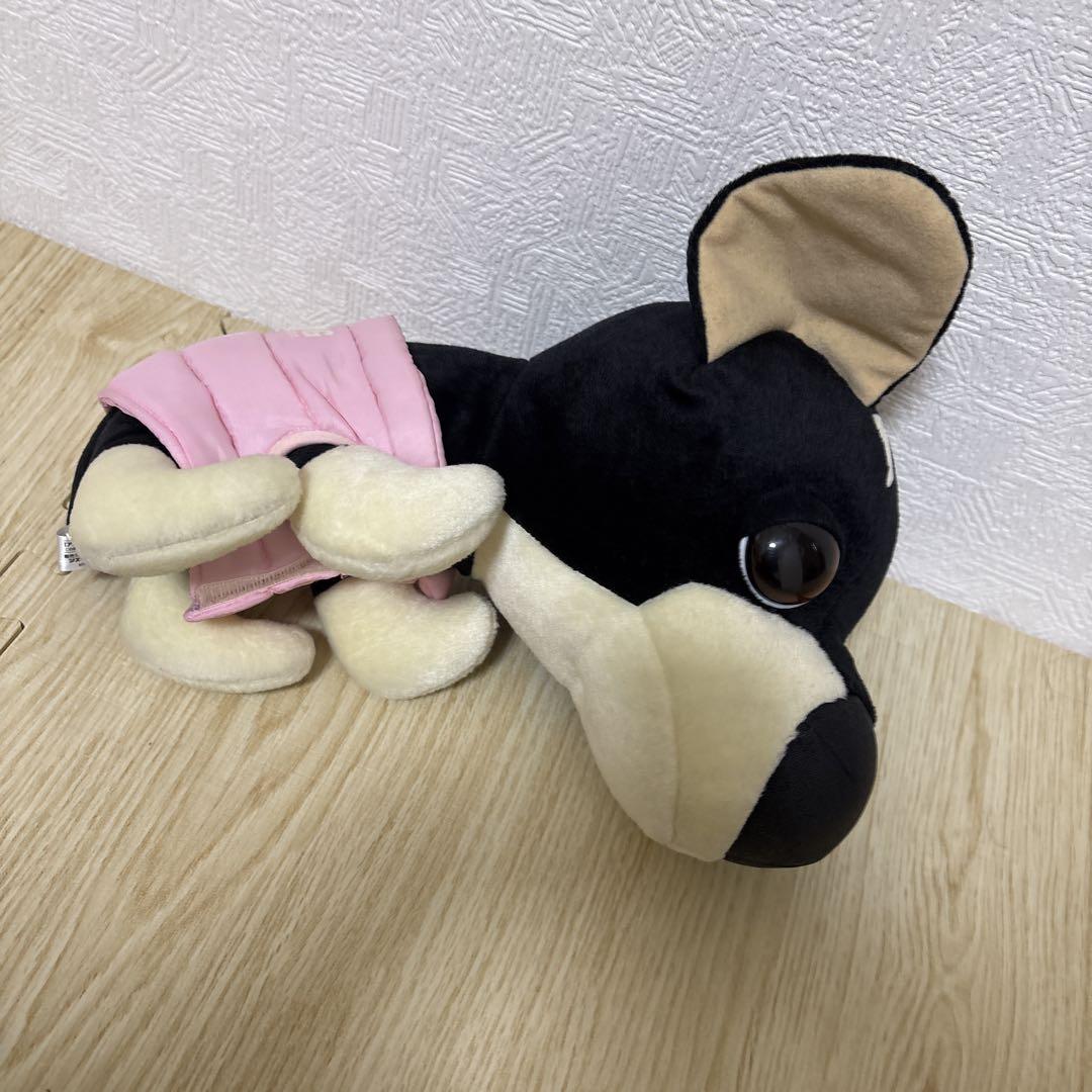 楽天市場】マザーガーデン とことこおさんぽ くろしばちゃん