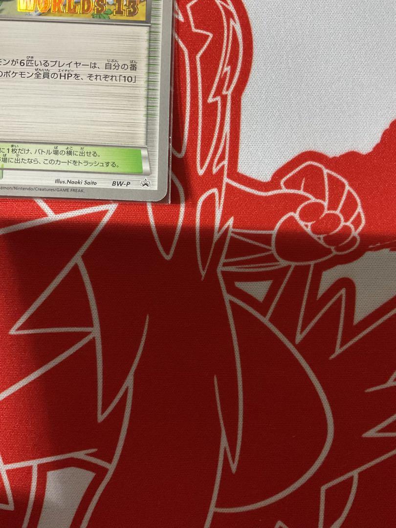 チャンピオンズフェスティバル2013
