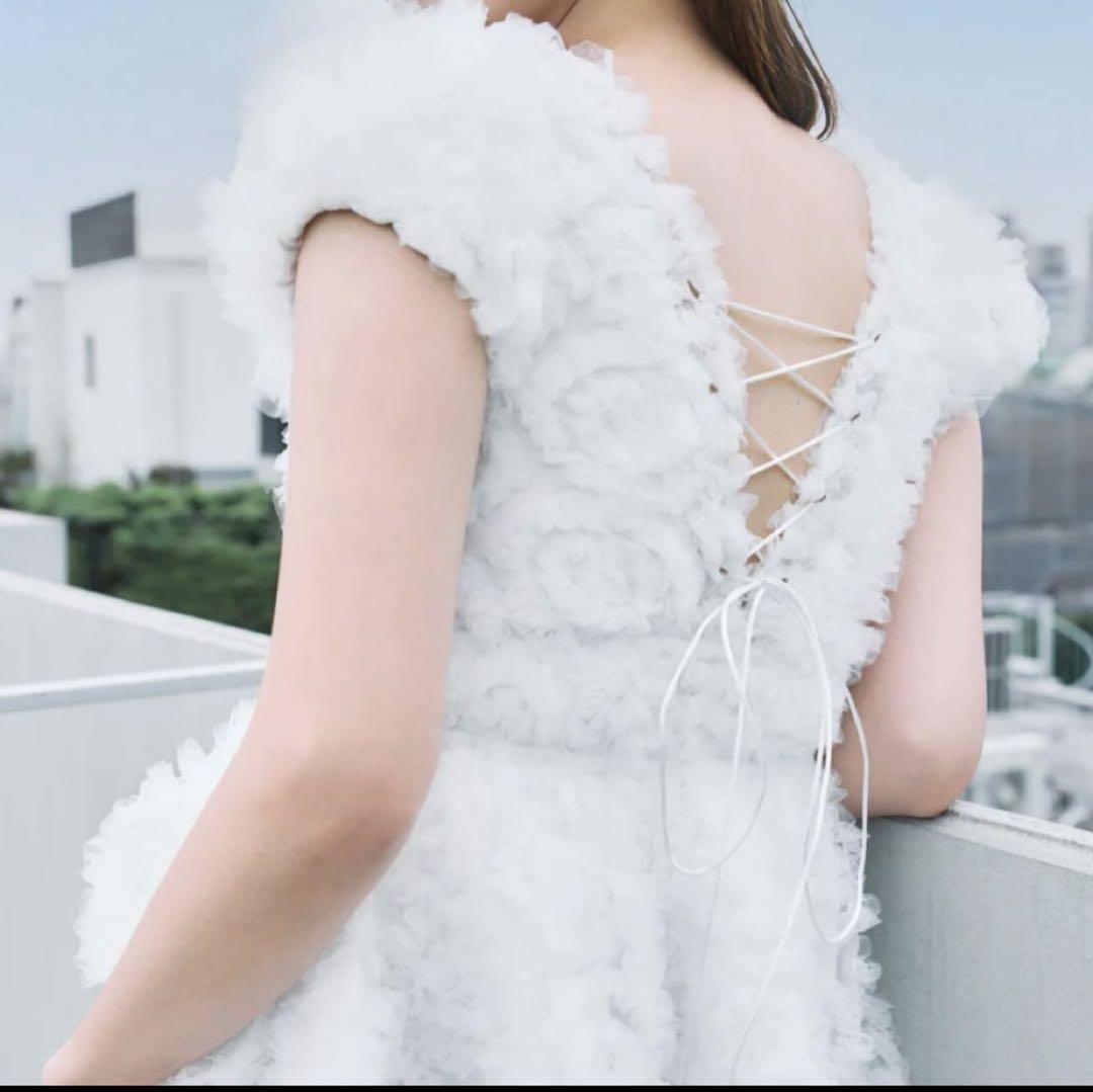 【新品】poláura ポローラ　フラワーぺプラムバックリボンチュニック polaura フラワーぺプラムバックリボンチュニック - メルカリ