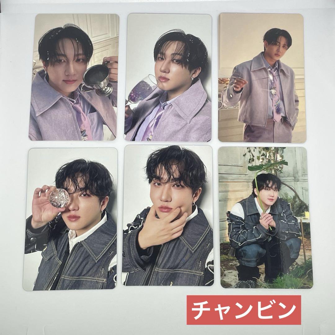 straykids チャンビン セット - メルカリ