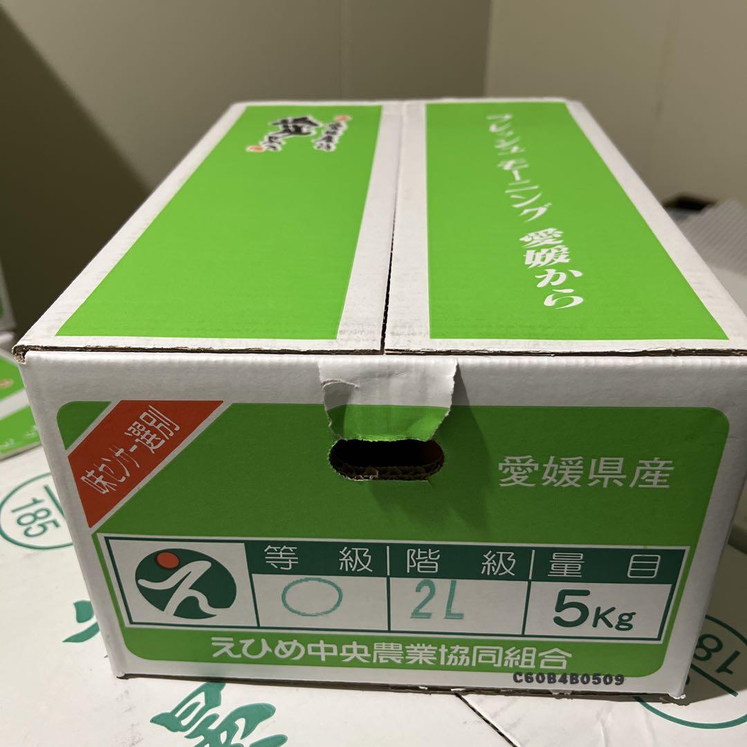天草の宝石箱！栽培期間中農薬不使用 3種の柑橘セット 箱込み4kg